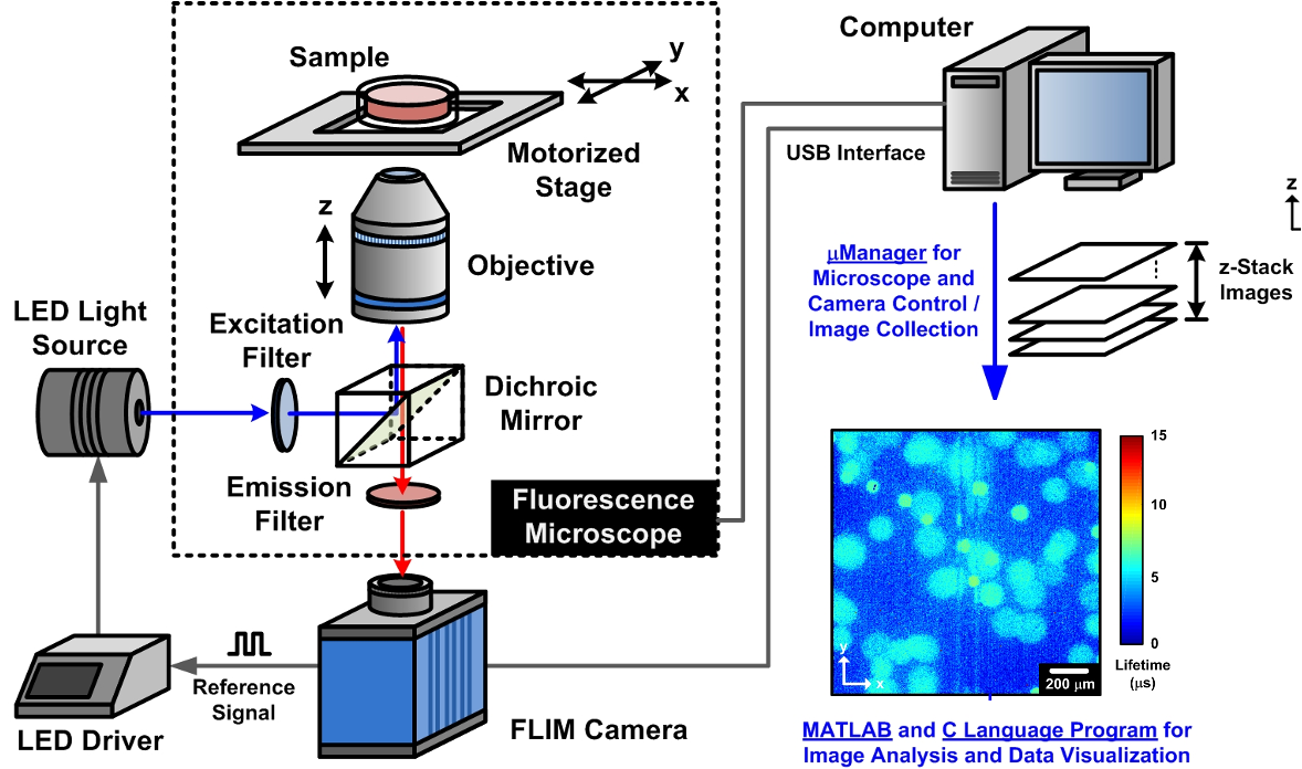 圖1.利用軟體控制顯微鏡及相機來進行自動影像擷取以完成樣品中三維螢光生命週期之量測