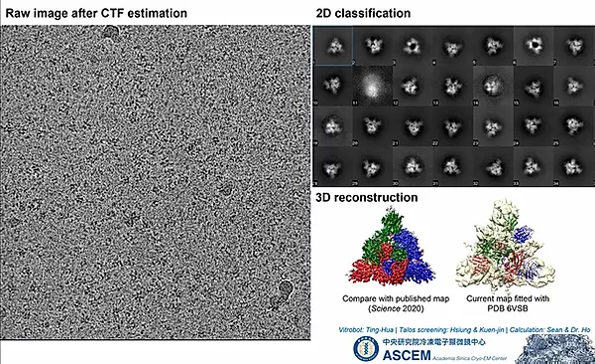 圖1. 通過冷凍電子顯微鏡觀察新冠病毒突蛋白。