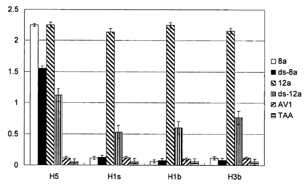 圖2.噬菌體表達之抗-HAs scFv/sc-dsFv之結合強度的圖。
